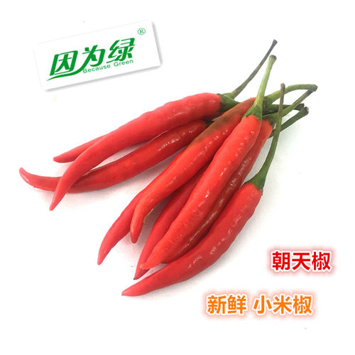 小米椒500g江浙沪皖包邮新鲜蔬菜