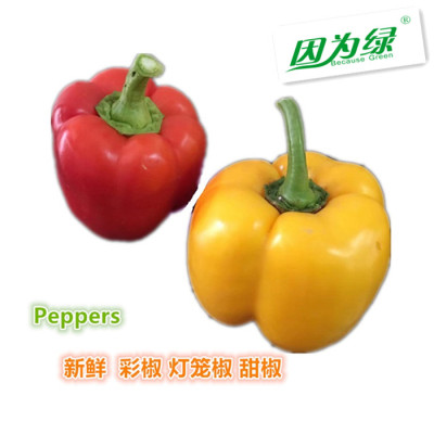 新鲜蔬菜彩椒红黄圆椒江浙沪皖