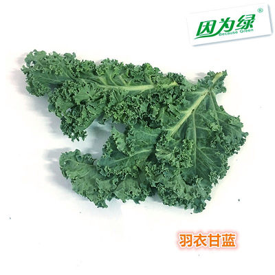 羽衣甘蓝新鲜新鲜蔬菜江浙沪皖