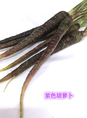 新鲜蔬菜 黑胡萝卜 紫色手指胡萝卜 去叶子 500g 江浙沪皖5件包邮