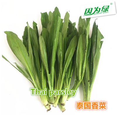 新鲜泰国香菜500g包邮