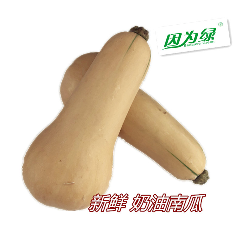 新鲜蔬菜奶油南瓜800g5件包邮
