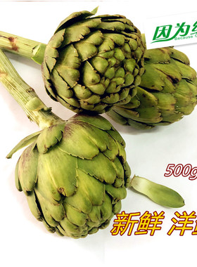 洋蓟新鲜包邮 朝鲜蓟 法国百合 Artichoke 500g 江浙沪皖5件包邮