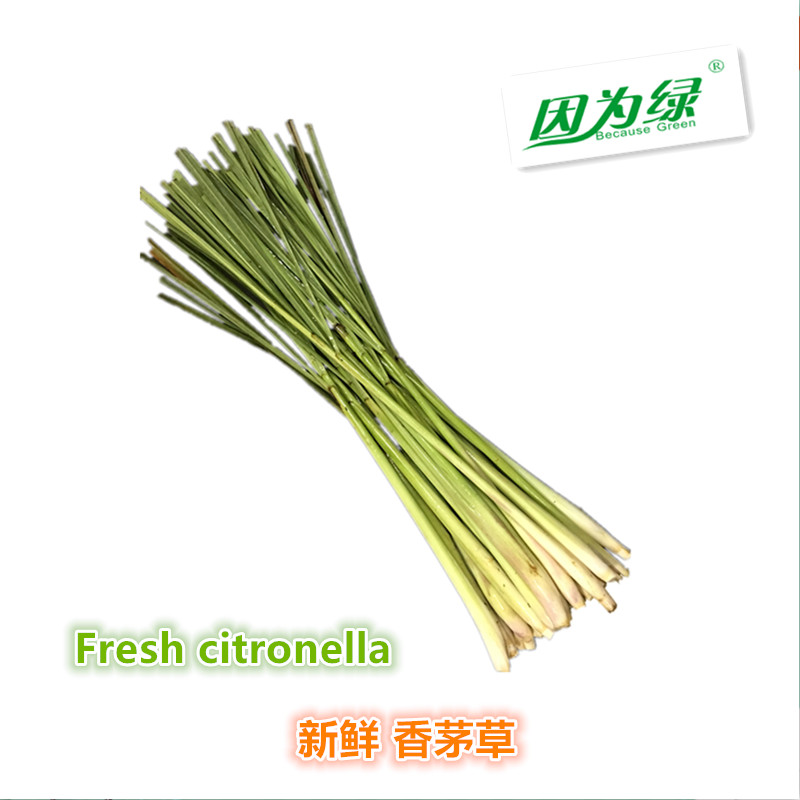 香茅草 新鲜柠檬草 香毛草香料 Lemon Grass 江浙沪皖5件包邮 水产肉类/新鲜蔬果/熟食 其它 原图主图