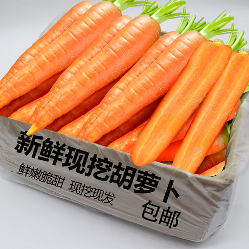 新鲜现挖胡萝卜5斤，产地直供！