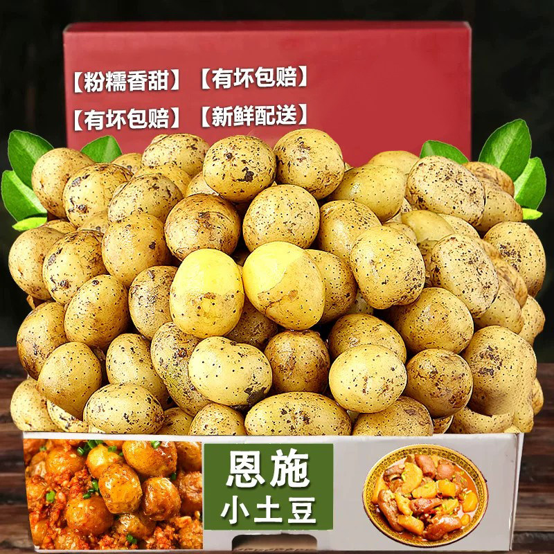 现挖湖北小土豆现挖湖北新鲜黄心土豆当季蔬菜整箱迷你马铃薯新鲜