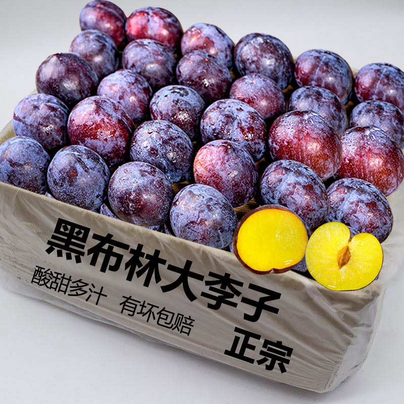 现摘黑布林李子新鲜当季水果现摘黄鑫三月李子恐龙蛋红心整箱包邮