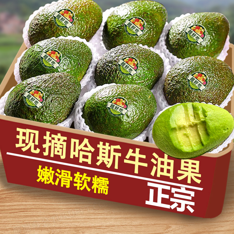 精选哈斯牛油果6枚,仅限一单!