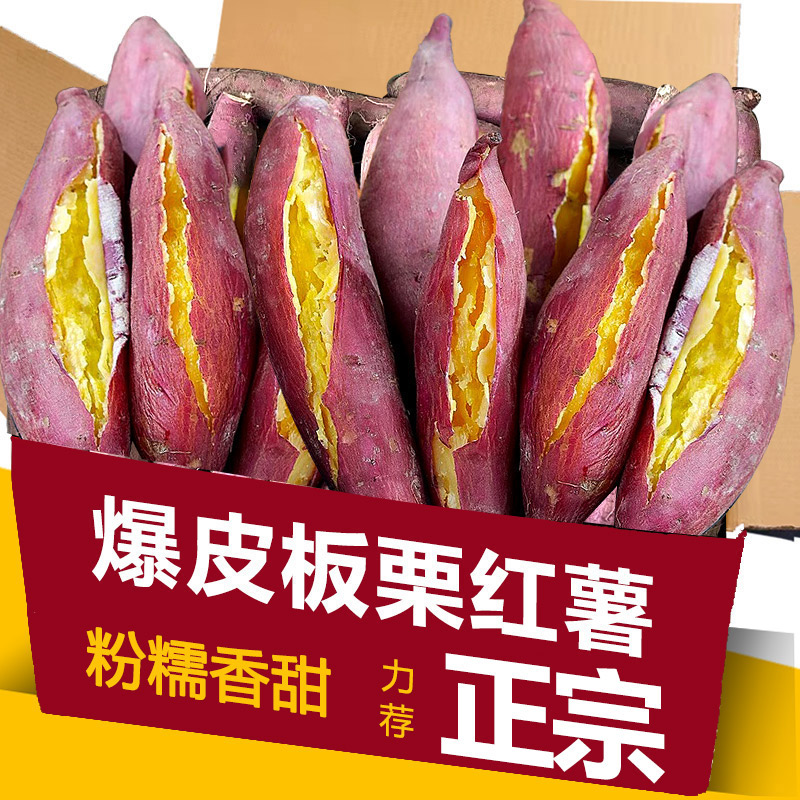 陕西沙地板栗红薯新鲜蜜薯番薯板栗红薯薯地瓜现挖现发