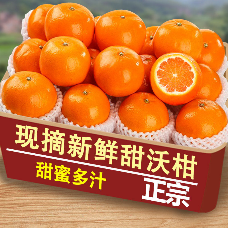 云南高山沃柑新鲜水果年货当季整箱10沙糖斤蜜橘砂糖柑橘桔子橘5