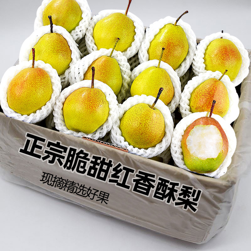正宗红香酥梨4.5斤,脆甜多汁!