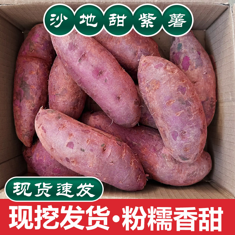 新鲜现挖沙地紫薯3斤,软糯香甜