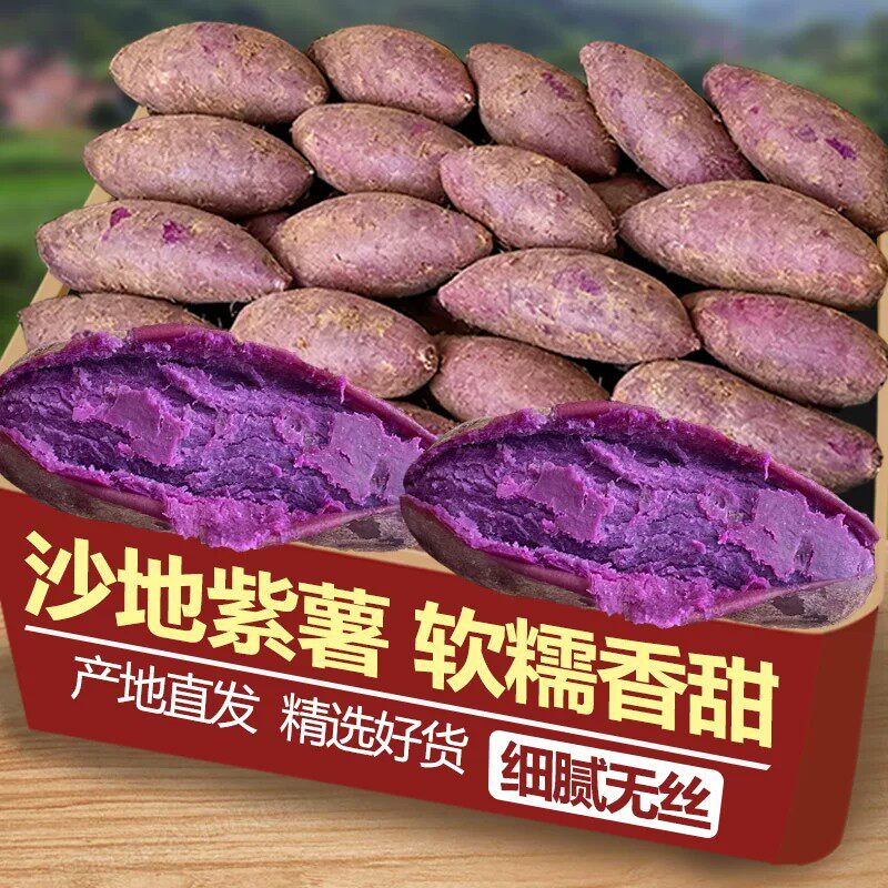 紫薯新鲜地瓜紫心蜜薯种薯现挖沙地板栗番薯山芋农家自种蔬菜