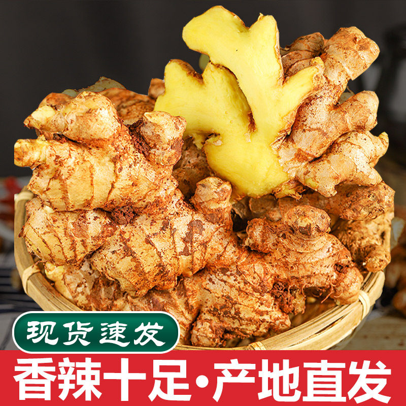 正宗小黄姜现挖新鲜小黄姜新鲜生姜蔬菜新姜月子姜辛辣姜老姜土姜