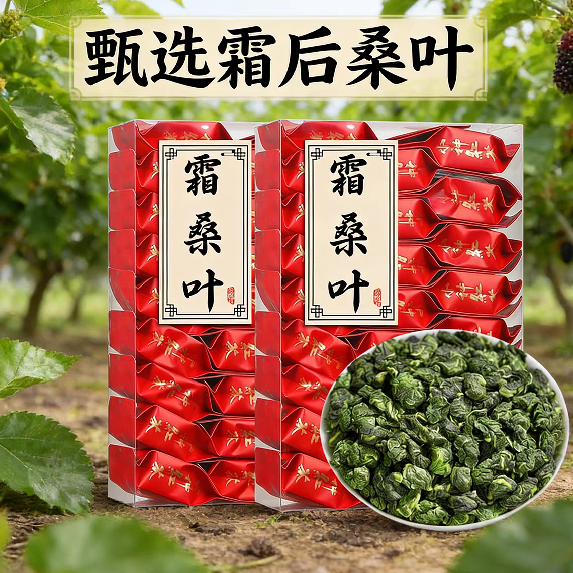 正品高山霜后桑叶茶柴火炒制独立包桑树叶桑葚叶打秋后桑树叶新货