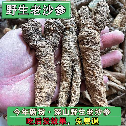 大别山野生沙参今年新货中药材