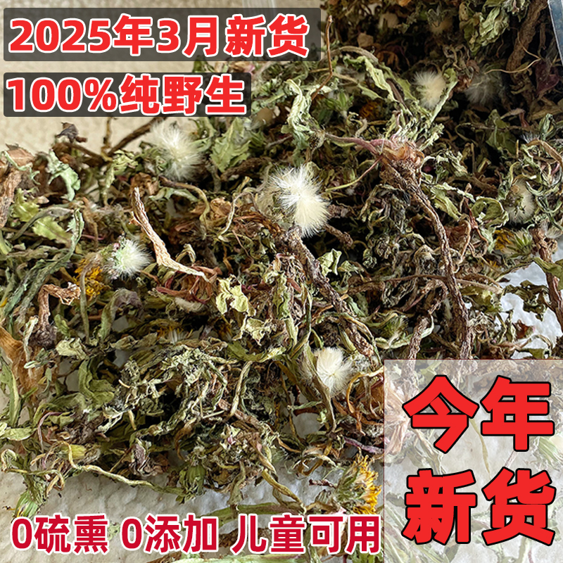 2025年新货大别山纯野生蒲公英根茶正品非特级中药材散装整株干货