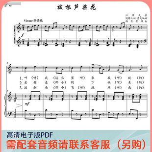 拔 根芦柴花 C/D调 声乐正谱五线谱钢琴伴奏谱乐谱