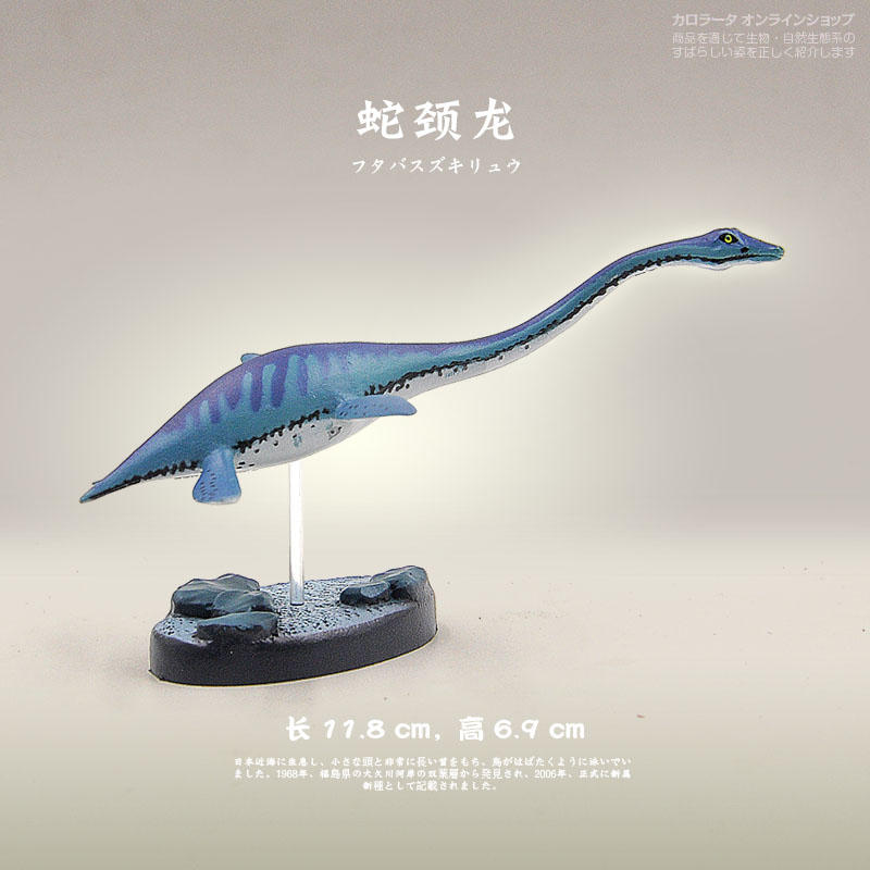 日本colorata原装正品 侏罗纪博物馆恐龙玩具蛇颈龙