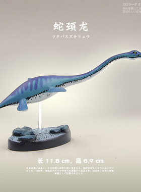 日本Colorata原装正品 侏罗纪博物馆恐龙玩具蛇颈龙儿童收藏礼品