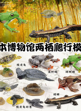 日本Colorata原装正品 两栖爬行类博物馆青蛙海龟海洋生物收藏品