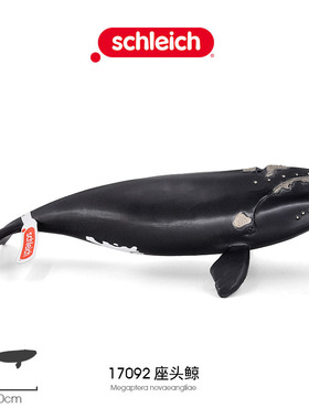 思乐Schleich 座头鲸17092鲸鱼仿真模型海洋野生动物塑胶儿童玩具