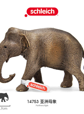 思乐Schleich 亚洲母象14753大象仿真草原野生动物模型儿童玩具
