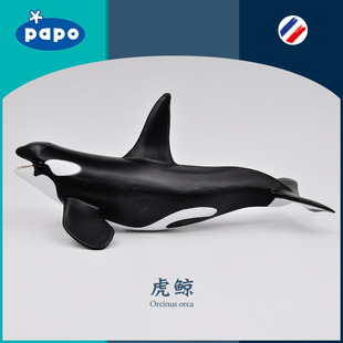 法国PAPO 虎鲸56000杀人鲸仿真海洋动物模型玩具鱼缸装饰海底世界