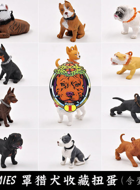 Homies仿真动物宠物狗模型 猎狗 罩猎犬 限量卡收藏盒装玩具扭蛋