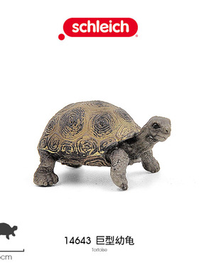 思乐Schleich 巨型幼龟14643乌龟山龟仿真野生动物陆龟模型玩具