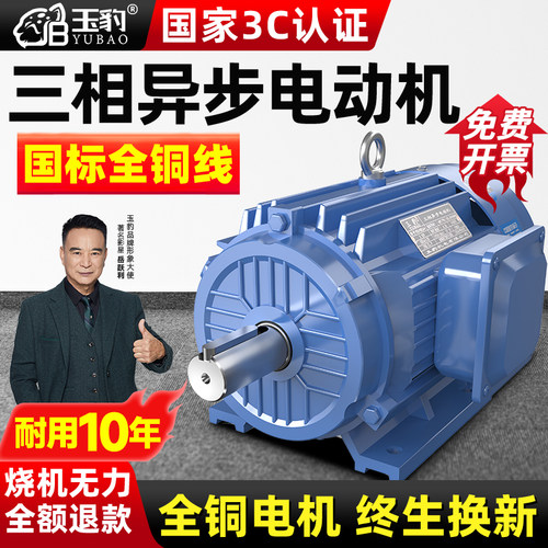 【耐用10年】全铜三相异步电动机