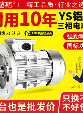 YS铝壳电机0.37/0.55/0.75/1.1/1.5/2.2KW三相异步电动机380V全铜