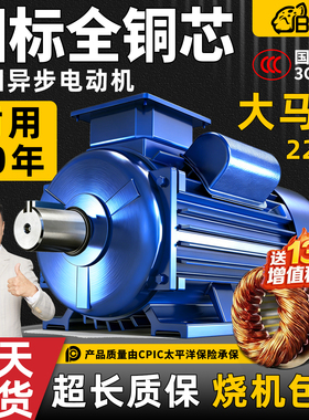 单相电机220V纯铜线圈小型高效运行国标全铜芯高速异步电动机耐用