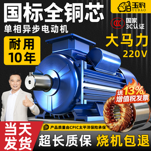 单相电机220V纯铜线圈小型高效运行国标全铜芯高速异步电动机耐用