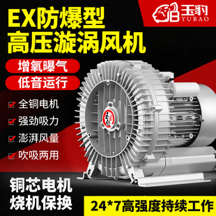 防爆漩涡风机增氧罗茨涡轮380V大功率强力吸工业鼓风机旋涡式 气泵