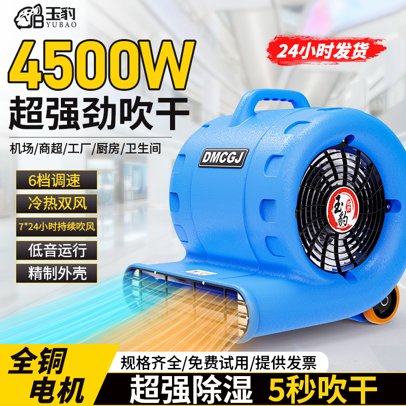玉豹吹干机商用大功率干燥强力吹风机地毯厕所地面地板除湿吹地机,生活电器,其它日用家电,淘宝优惠券,粉丝福利购,淘宝优惠卷