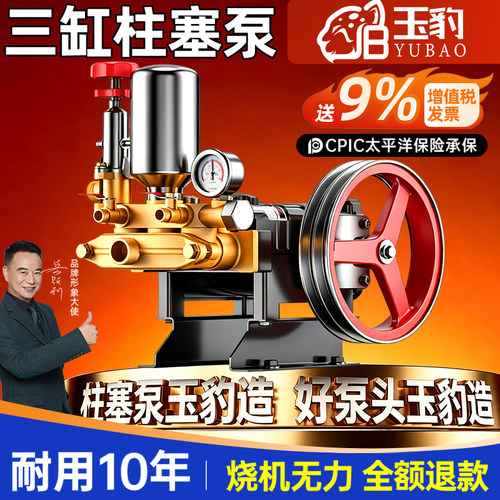 三缸柱塞泵打药机喷雾器高压农用园林果树小型家用电动喷洒农药泵