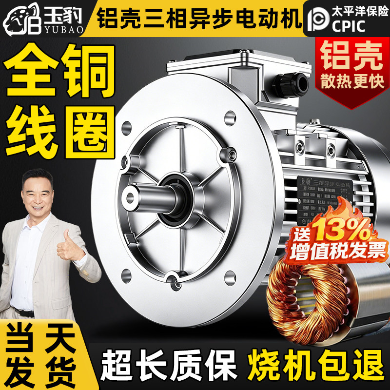 【耐用10年】全铜铝壳三相电动机