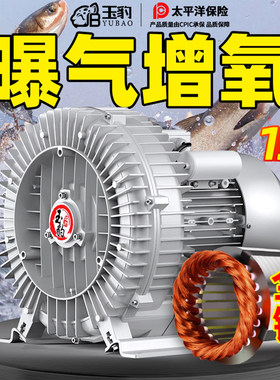 【鱼塘专用】全铜漩涡风机