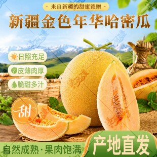 新疆金色年华哈密瓜 头茬陆地瓜 脆嫩果肉夏日应季鲜果 陆运发货