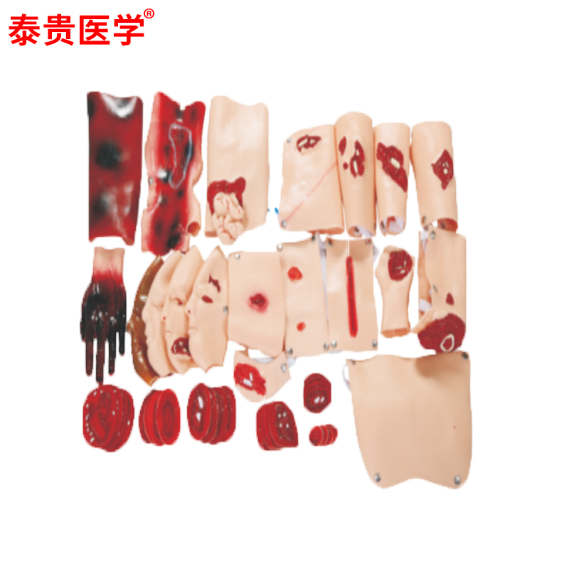 TG/G110-43伤情呈现模拟器材创伤评估模型穿戴式战伤急救43部件