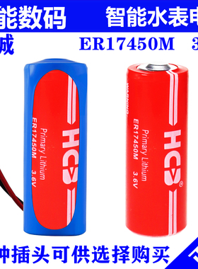 智能水表电池ER17450M3.6V电表仪表流量计RAM记忆PLC昊诚轻松表计