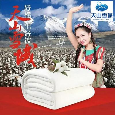 新疆长绒棉花被芯天山雪域棉胎冬被棉絮垫被千层无网棉被芯包邮