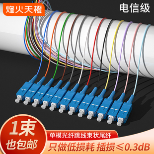LC光纤跳线12芯束状尾纤1米ODF单元 体熔接盘尾纤 烽火天橙电信级单模束状尾纤SC