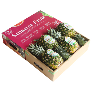 顺丰包邮4个都乐/佳农菲律宾进口凤梨约12斤无孔香水菠萝新鲜水果
