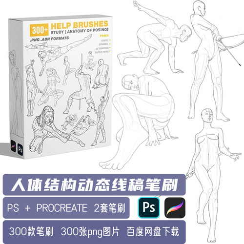 人体运动姿势动态肌肉结构线稿PNG图案PS笔刷procreate笔刷素材