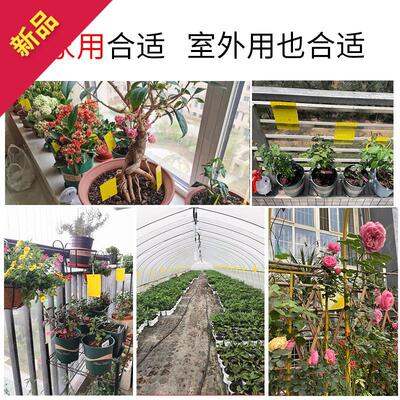 粘虫板黄板双面诱虫板贴纸灭小飞