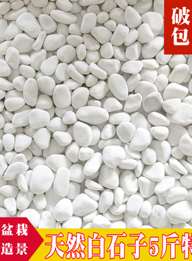 小白石子鹅卵石花盆多肉铺面日式枯山水庭院阳台造景装饰白色石头