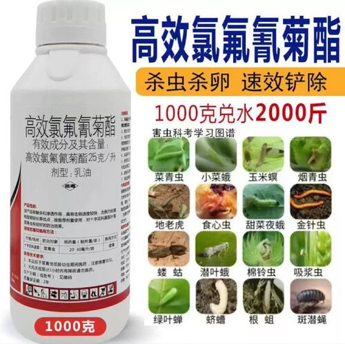 25高效氯氟氰菊酯菜青虫地下害虫