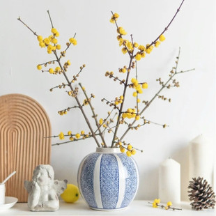 腊梅鲜枝泡水开真花水养植物花枝插花瓶干树枝柳枝干花包遇水开花